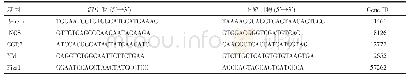 《表1 Real-time PCR引物序列》