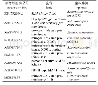 《表1 与橡胶树炭疽菌CsHog1基因聚类分析相关的真菌序列信息》