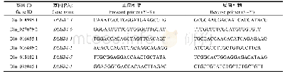 《表1 实时荧光定量PCR引物》