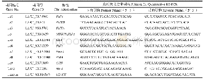 表1 生菜光响应基因的同源基因基本信息及qRT-PCR引物序列