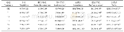 表2 不同光强对黄瓜嫁接苗形态指标的影响