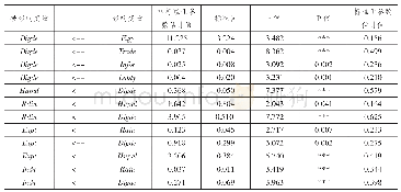 表4 各路径的验证性因素分析结果