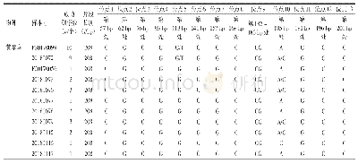 表5 不同产地黄草乌及其近缘种居群ITS2差异位点表