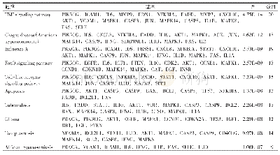 表2 归肾丸治疗卵巢早衰KEGG通路富集前10位细节表