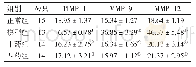 表5 各组大鼠肺组织TIMP-1、MMP-9、MMP-12水平的比较