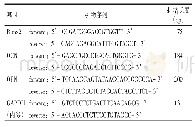 《表1 RT-PCR引物序列》