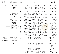 《表5 试验组次：长江上游肖家石盘航道整治方案研究》