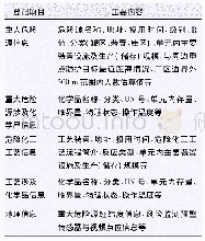 《表2 重大危险源及危险化工工艺主要信息》