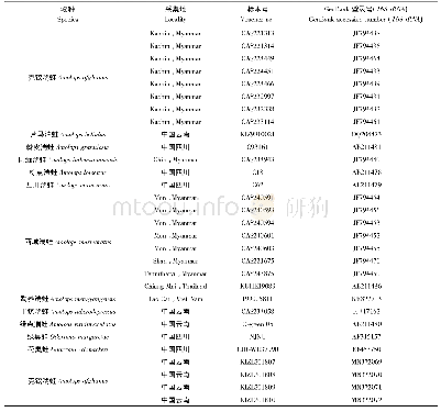 表1 本研究中使用的序列信息