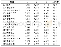 《表2 工作技能问卷因子分析 (N=207)》