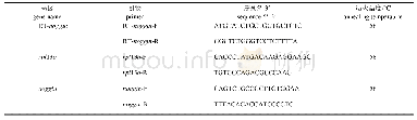 表1 RT-PCR引物的序列和退火温度