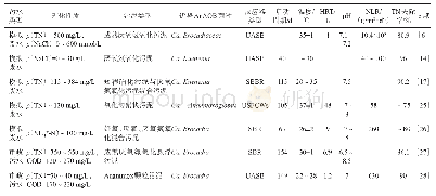 表1 不同An AOB菌种启动Anammox的周期及脱氮效果比较