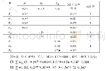 表6 各层次元素相对权重值排序结果
