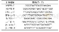 表2 荧光定量PCR引物序列