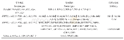 表2 TGF-β超家族蛋白与受体的对应关系