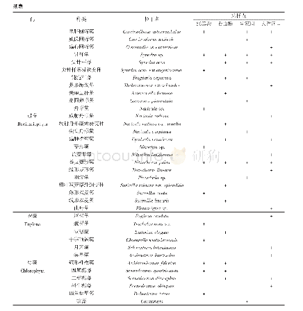 表1 大洋河浮游植物种类组成