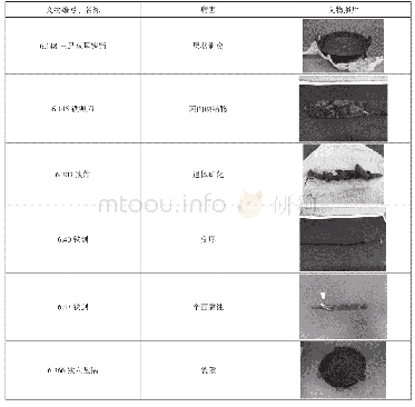 《表1 首都博物馆馆藏铁器典型病害表》