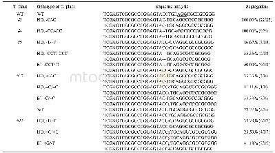 Table 2.Mutations and segregation analysis of the TKC1.2-LAZY1 T1 plants.