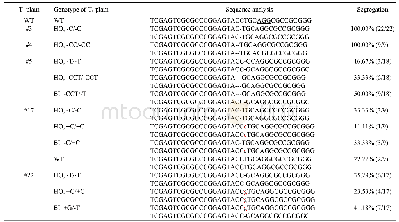 《Table 2.Mutations and segregation analysis of the TKC1.2-LAZY1 T1 plants.》