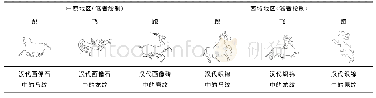 表1 汉代西域织锦纹样动态姿态分类表