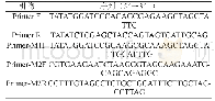 《表1 引物名称及序列：Zn~(2+)对PPR蛋白锌指结构域原核表达的影响》