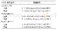 《表1 转染所用各siRNA序列》