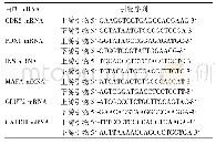 表1 qRT-PCR法各基因引物序列表