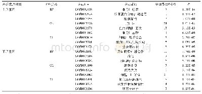 《表2 胃癌相关差异表达基因的GO分析结果》