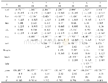 表2 静态面板模型的计量分析