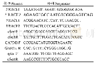 表1 PCR引物序列：合浦珠母贝丝氨酸蛋白酶抑制因子基因pfser1克隆与表达