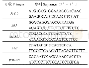 表1 PCR引物序列：三氯生对雌性斑马鱼肝胰脏凋亡相关基因表达的影响