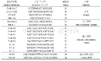 表1 MSAP分析的接头和引物序列