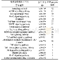 表4 免疫防御相关SNP-unigene的KEGG富集分析