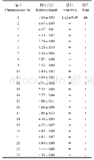 表2 金虎斑染色体相对长度和臂比