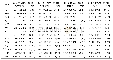 《表3 东北地区部分城市2018年执行能力指数和2019年发展信心和潜力指数排名》