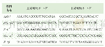 《表1 Realtime-PCR引物列表》