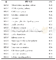 《表5 hsa-miRNA-451对应的17个靶基因通路列表》