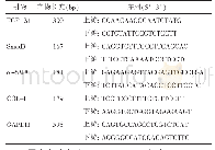 表1 qRT-PCR mRNA引物序列