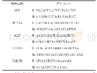 表1 RT-PCR引物序列