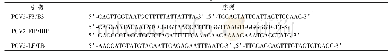 《表1 PCV2 LAMP反应扩增引物》