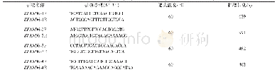 表1 用于检测ZFAND6基因编码区的引物和SNP检测引物