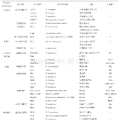 《表1 T6SS效应因子的分类及作用机制[59-61]》