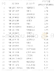 《表1 蛋白组学鉴定出的部分差异表达蛋白》