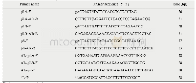 《表1 引物及核苷酸序列》