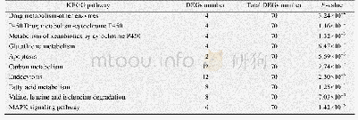 表3 DElncRNA差异靶基因KEGG富集前10通路