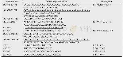 表1 引物序列：大豆花叶病毒半夏分离物侵染性克隆构建及鉴定