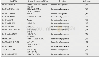 表2 参与动物脂肪沉积调控的lncRNA