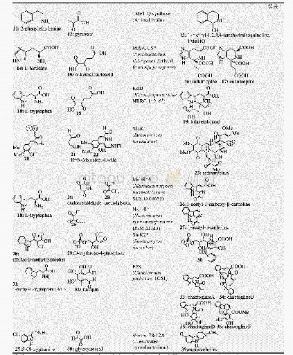 表1 已有研究报道的Pictet-Spengler酶及相应的天然底物