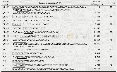 《表2 CDV-3株c DNA克隆构建用引物序列》