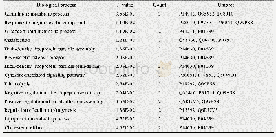 表5 腹腔注射金黄色葡萄球菌模型中差异蛋白参与的生物学过程
